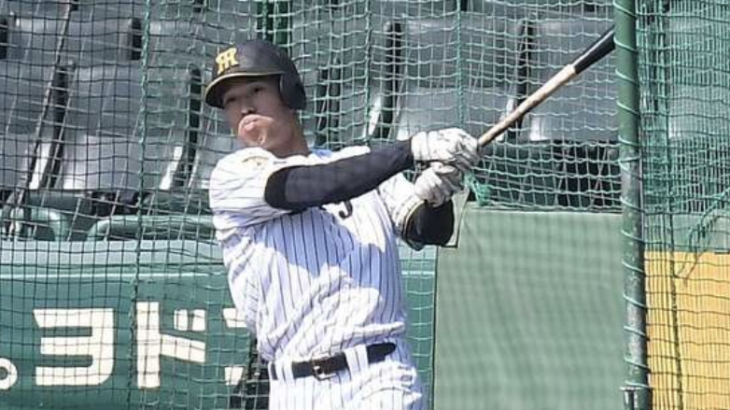 岡城快生、ガチで開幕1軍あるなこれ