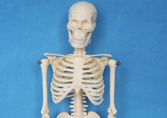 もしデッドボールで骨にヒビが入ったら全治どれくらいなん？