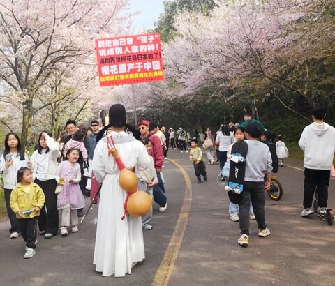 【大朝鮮】桜は中国原産とプラカードで主張、中共ネットでは「桜といえば日本」との認識
