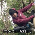 思わず笑った画像貼ってけwww