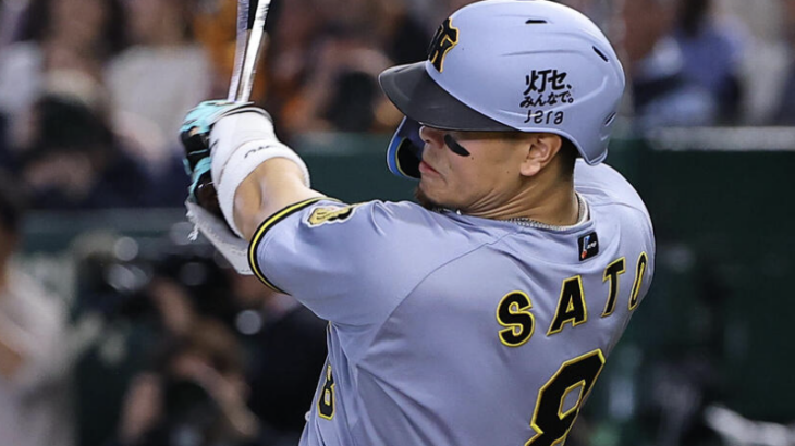 つか昨日の佐藤輝明の二塁打、詰まってるのにフェンス直撃はやべえ