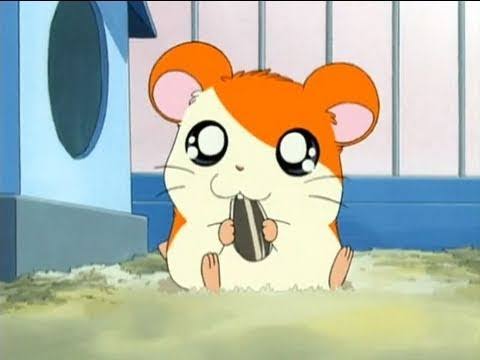 とっとこハム太郎強さ議論スレ