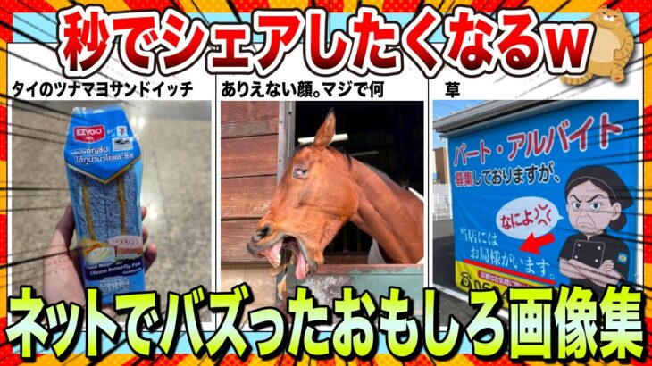 【仰天】秒で拡散されたwwネットで大バズりした爆笑画像集www