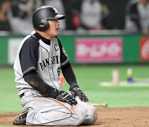 この画像を面白くしてほしい