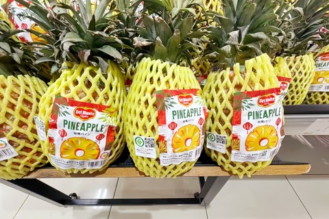 【台湾メディア】 台湾パイナップル、輸出先の99％が日本