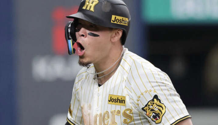 阪神「4試合で19打点です」「ですがホームランは1本だけです」←このチーム