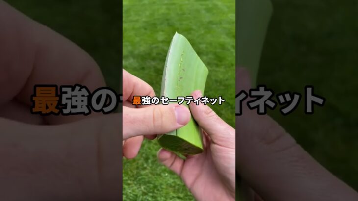 【マジかよ】1日1万円まで使い放題ボタンVS一撃1億円ボタン