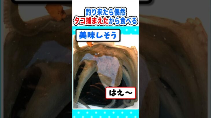 【マジかよ】ワイ、タコを偶然捕獲したので調理して食べるw