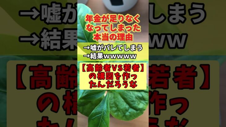 【動画】年金が足りないのは若者が減ったからではなく、政治の失敗・・・