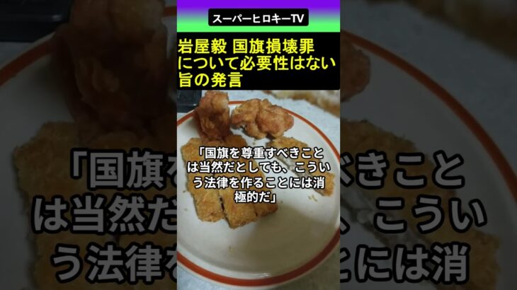 【驚愕】岩屋毅 国旗損壊罪について必要性はない旨の発言 2026.04.02 スーパーヒロキーTV