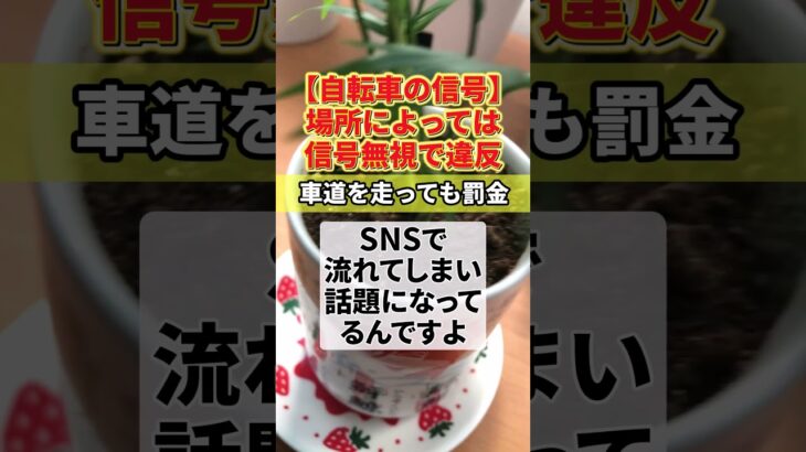 【衝撃】自転車の信号、車道の信号を守った結果→まさかの違反www