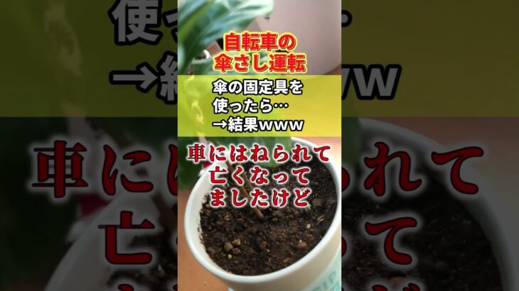 【仰天】自転車の傘さし運転、固定具を使っても違反であることが判明!?→国民「どうすればいいんだよ…」