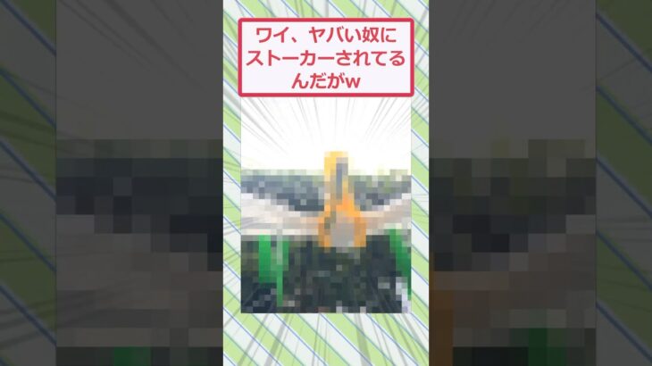 【動画】ワイ、ヤバい奴にストーカーされてるんだがww