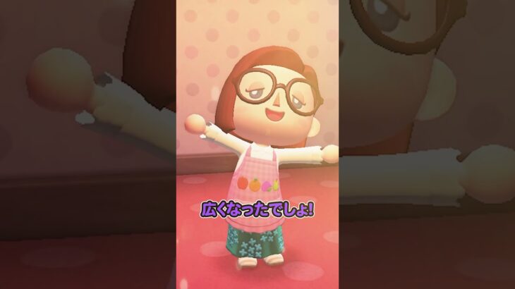 【動画】掃除で捨てたと嘘ついて勝手に売って自分のブランド品を買うとんでもないママ(どうぶつの森でアニメ)