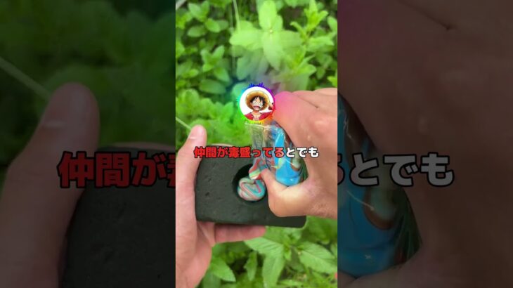 【ワンピース】ルフィ「飯の時間だーーーーー!!!!」チョッパー「………」