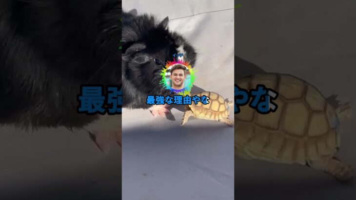 【マジかよ】資産が毎年20%増えるか1撃2000万円どっち選ぶう?