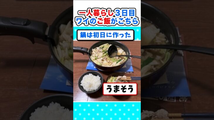 【仰天】オッヤに感謝!一人暮らしワイ、3日目のご飯がこちらw