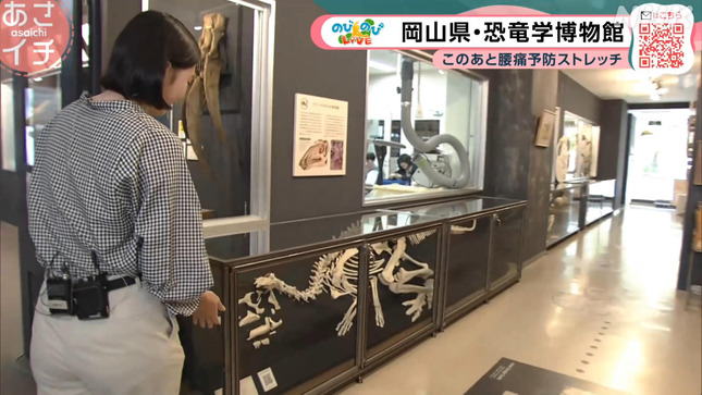 NHK河畑達子アナ　ピタパンのお尻にパン線が浮き出てしまう！！【GIF動画あり】