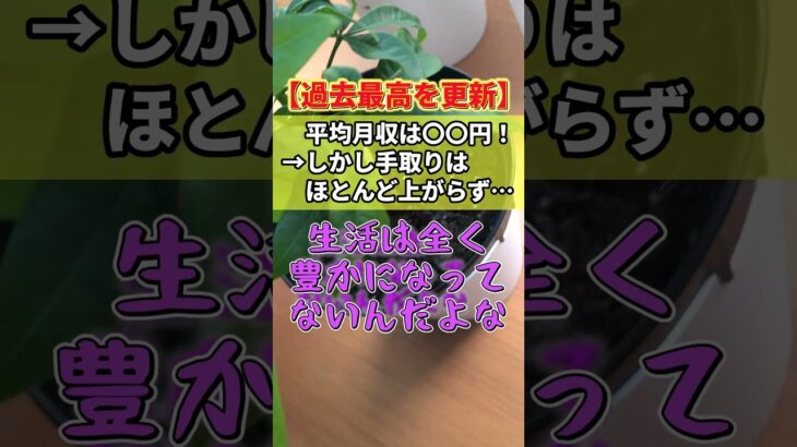 【動画】平均月給34万円超え→手取りはほとんど上がらないまま・・・