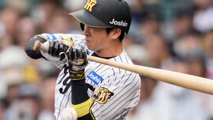 森下と近本に当てられておいて何もしない球団大丈夫か？