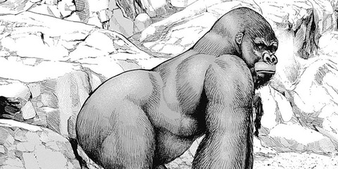 【悲報】マイク・タイソン、動物園のゴリラに対戦を申し込んでいたことが判明