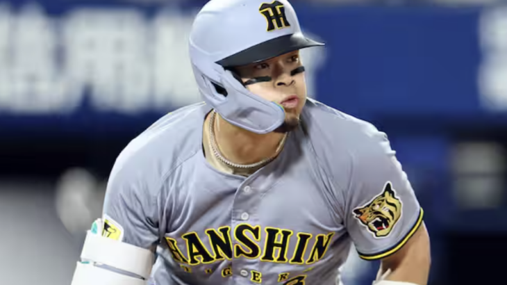 佐藤輝明、31安打の内19本が長打で草