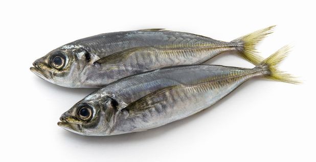 アジを一番美味しく食べる方法と言えば？