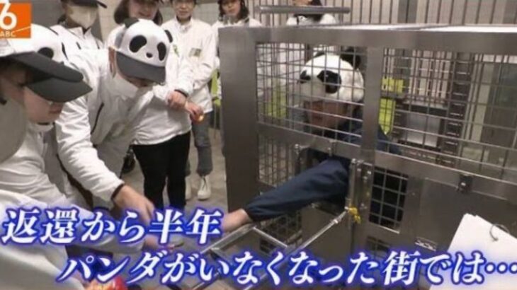 【悲報】パンダが居なくなった動物園、画期的な体験ツアーを企画wwwwww