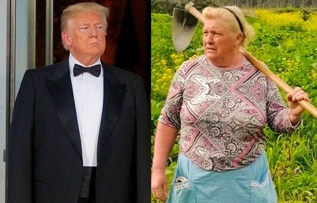 【画像】スペインでトランプそっくりの女が見つかるｗｗｗｗｗｗ