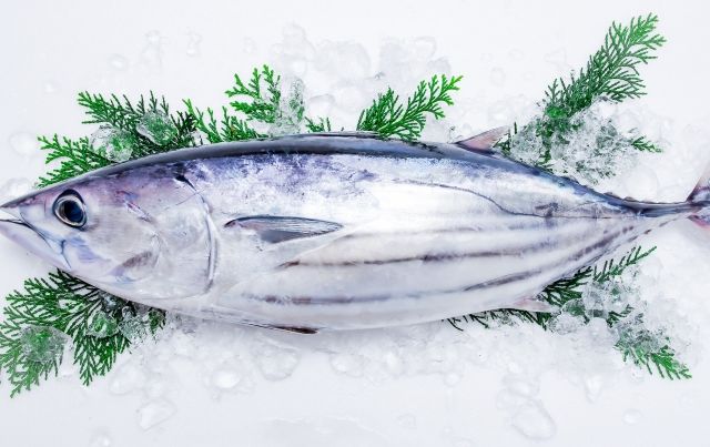 日本人ってカツオが手軽に食える幸せに気付いてないよな