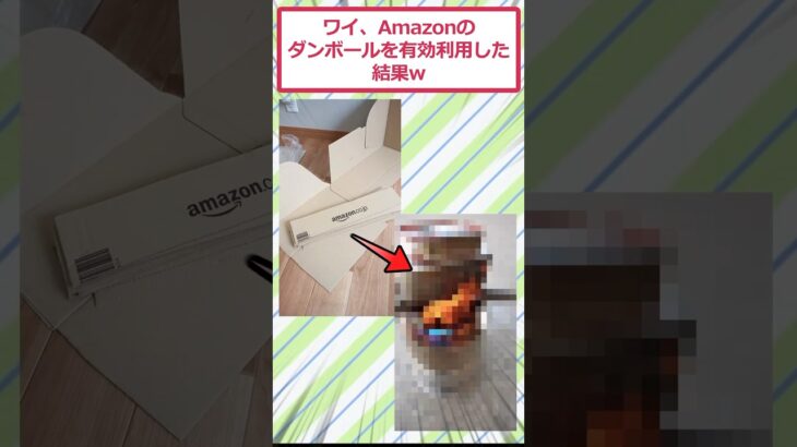 【驚愕】ワイ、Amazonのダンボールを有効利用した結果ww