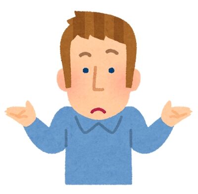 外人「ソシャゲがサ終した？なら個人サーバーを立てて勝手に継続するわ！」←日本のファン激怒で大激論に