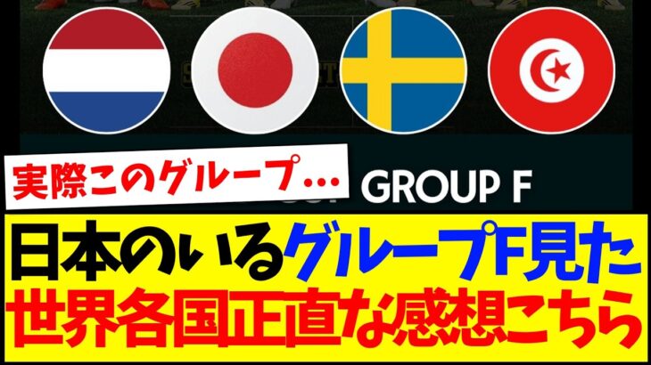【驚愕】日本のいるグループFを見た、世界各国のリアルな感想ががこちらですwww