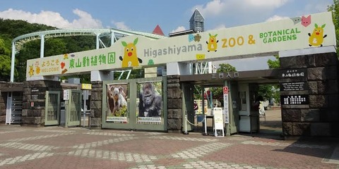 【画像集】動物園来とるんやけどj民達動物見たい？