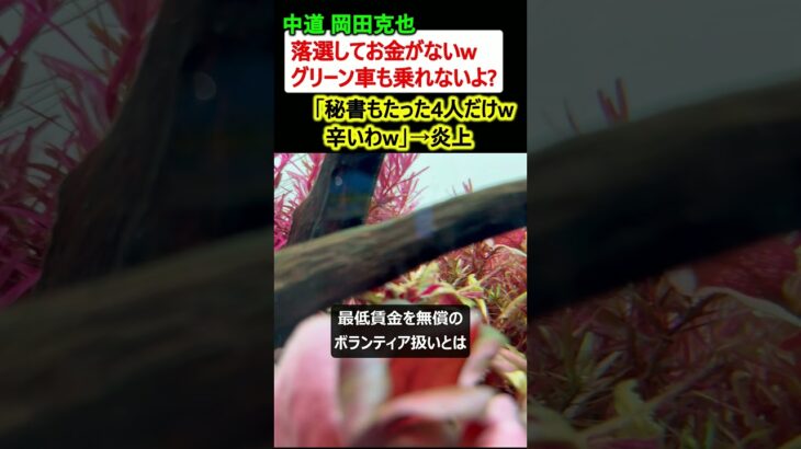 【仰天】中道 岡田克也「落選したらお金がなくてグリーン車も乗れないw 秘書はたった4人w」→炎上