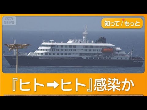 【注目】クルーズ船で感染確認か⁉ ハンタウイルスとは？