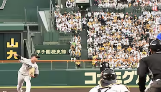 阪神タイガース　三振数エグい　17三振→16三振