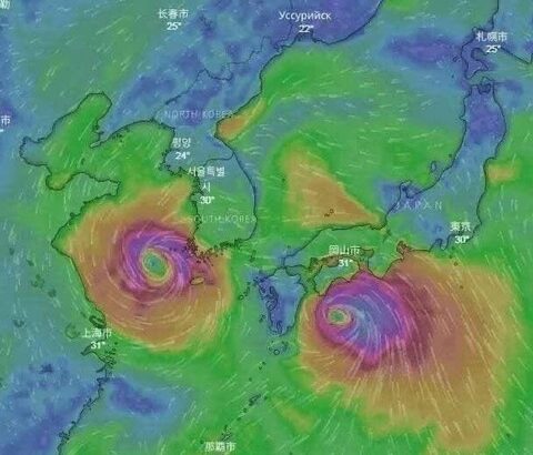 台風で打線組んだwww