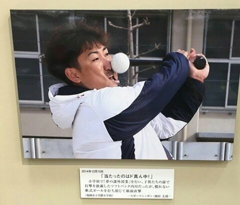 なんでもいいから画像を貼っていけ
